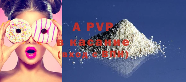 PSILOCYBIN Киренск