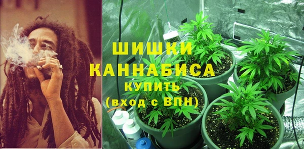 PSILOCYBIN Киренск